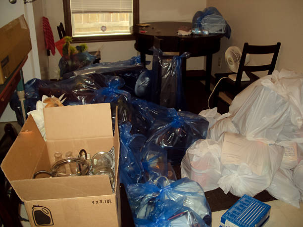 Basement Cleanout Services in Morgan, GA